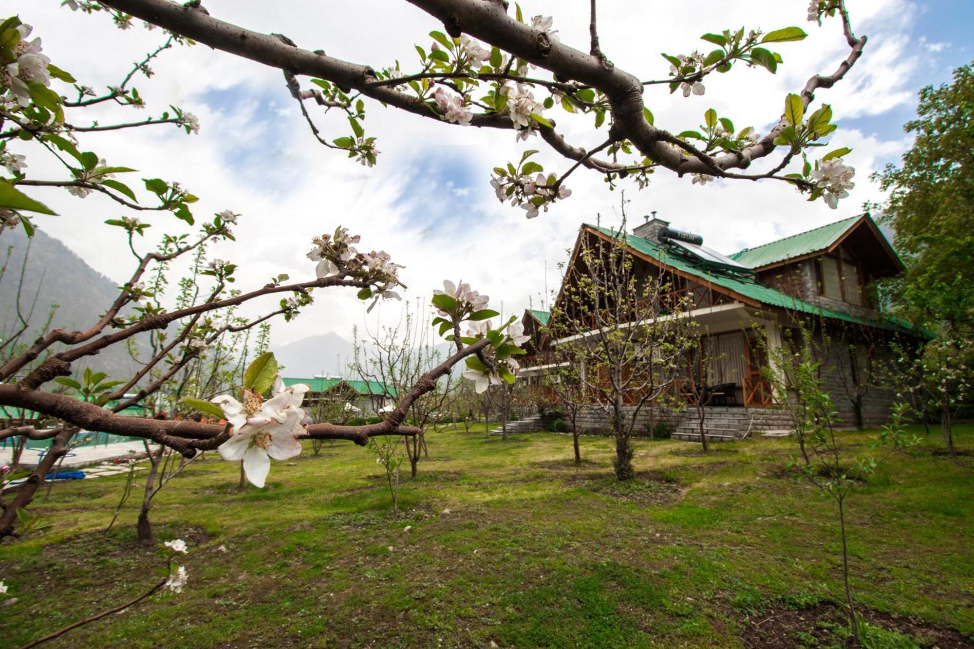 Larisa Resort Manali Exterior photo